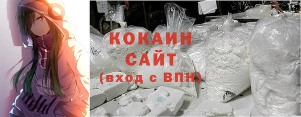 ГАЛЛЮЦИНОГЕННЫЕ ГРИБЫ Аркадак